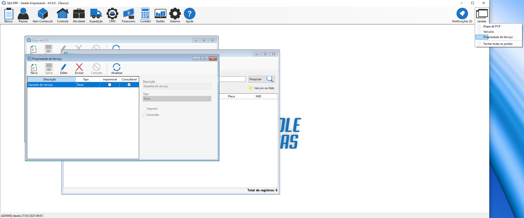 Tela sistema com menu janela